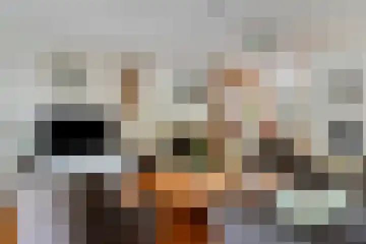 Roosendaelweg 5 Geervliet thumbnail 6