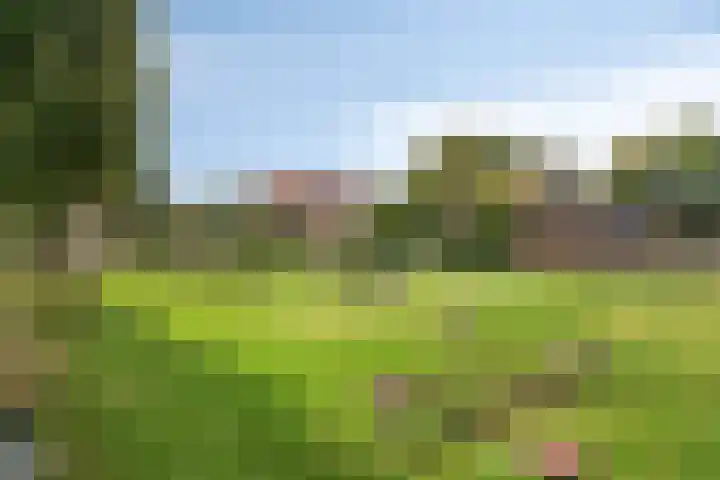 Roosenhoeklaan 13 Hellevoetsluis thumbnail 31