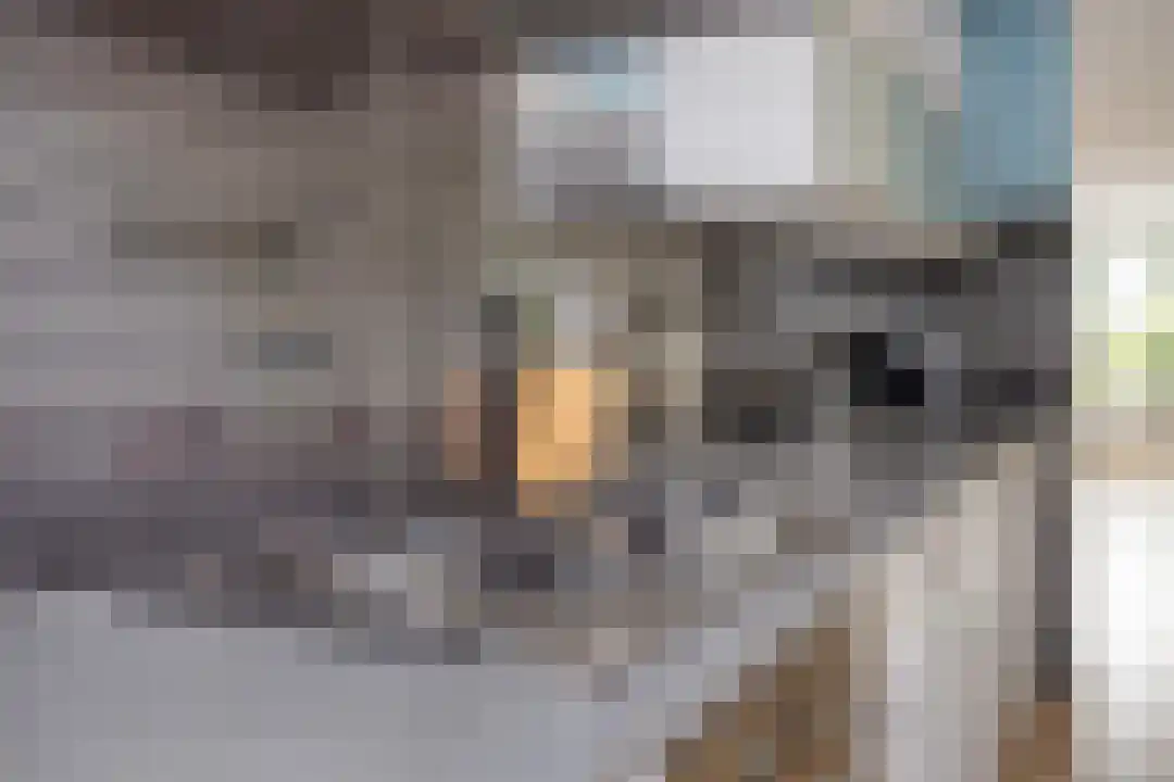 Rooseveltdreef 29 Ede thumbnail 10