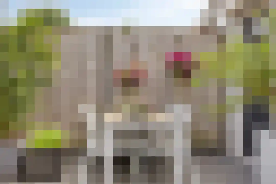Rooseveltdreef 29 Ede thumbnail 30