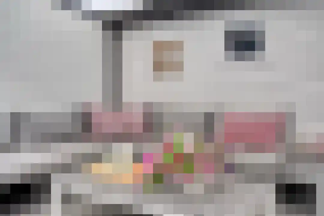 Rooseveltdreef 29 Ede thumbnail 32