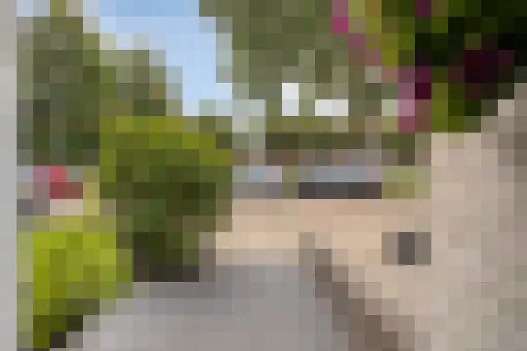Rooseveltdreef 29 Ede thumbnail 34