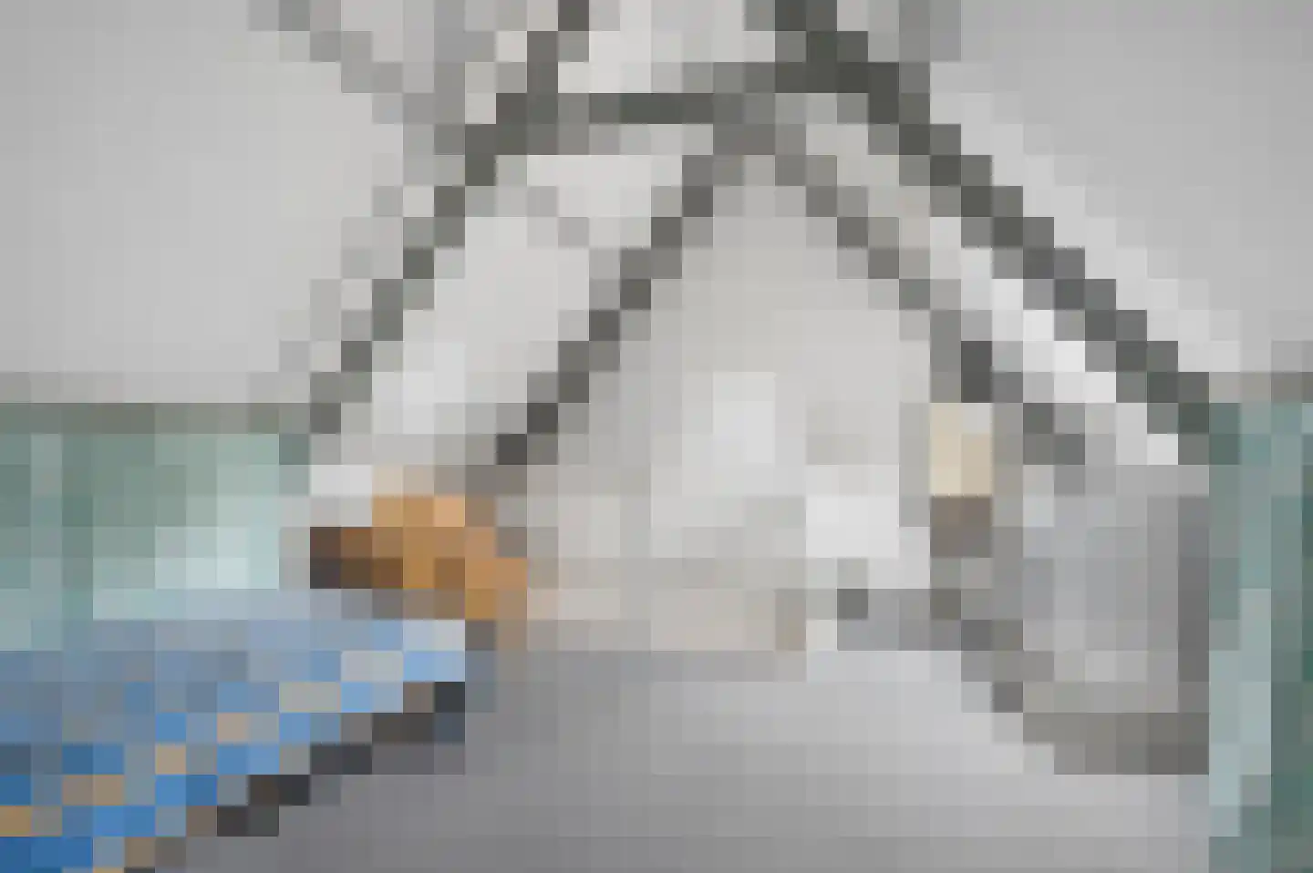 Rooseveltdreef 39 Ede thumbnail 31