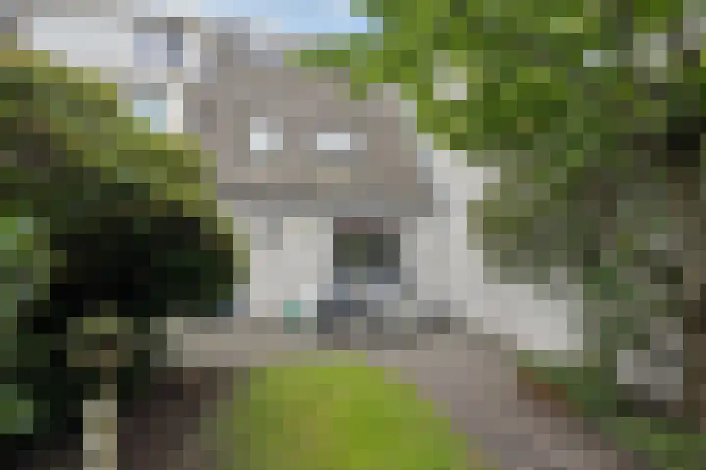 Rooseveltdreef 39 Ede thumbnail 32