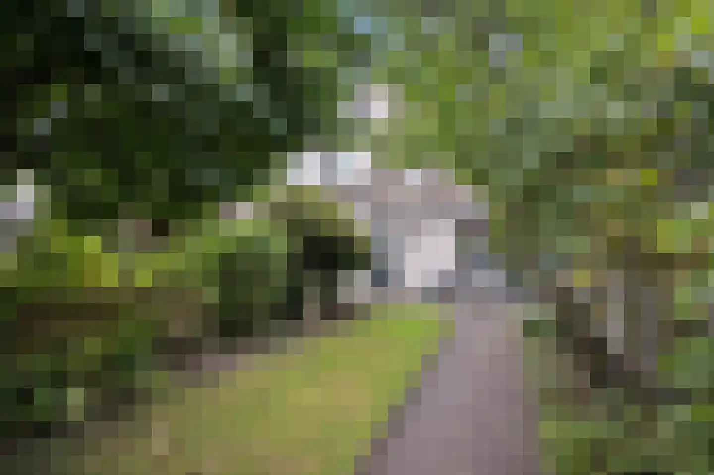 Rooseveltdreef 39 Ede thumbnail 33