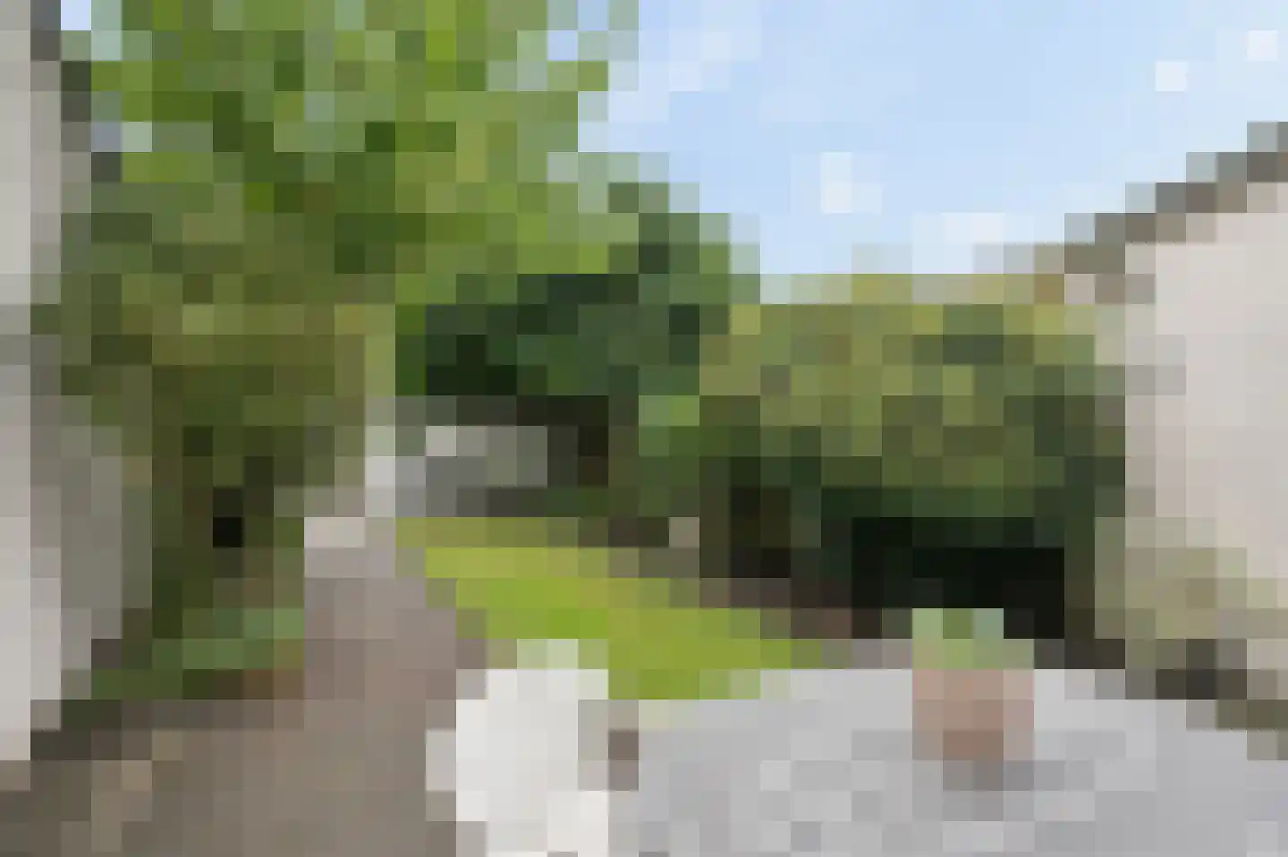 Rooseveltdreef 39 Ede thumbnail 34