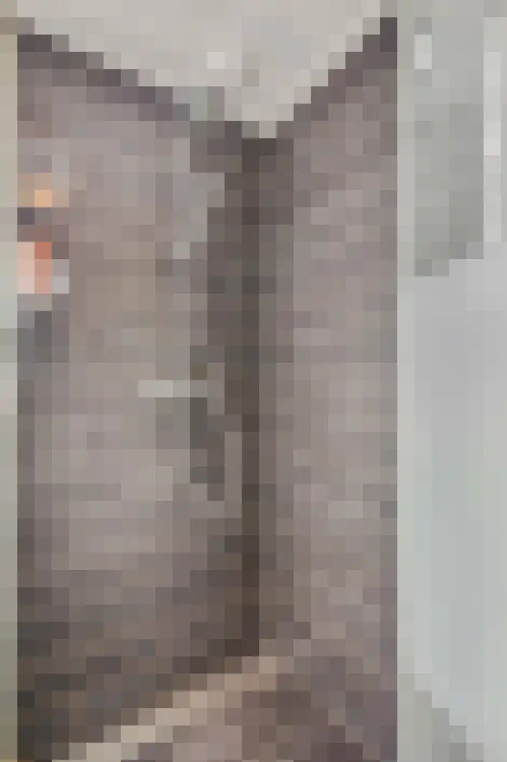 Rooseveltdreef 7 Ede thumbnail 20