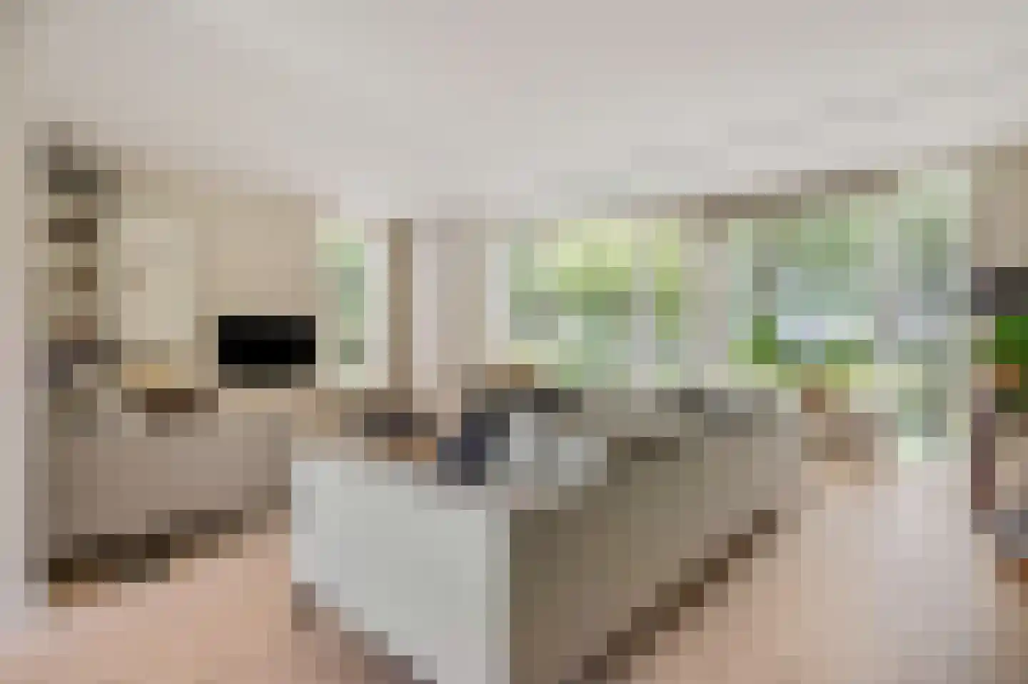 Rooseveltdreef 7 Ede thumbnail 5
