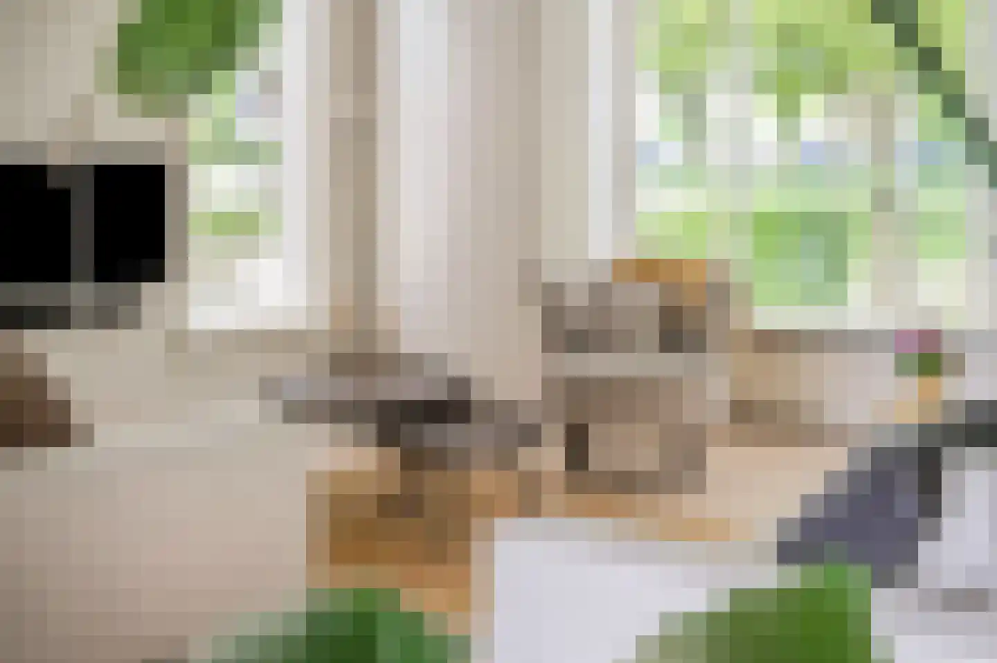Rooseveltdreef 7 Ede thumbnail 6