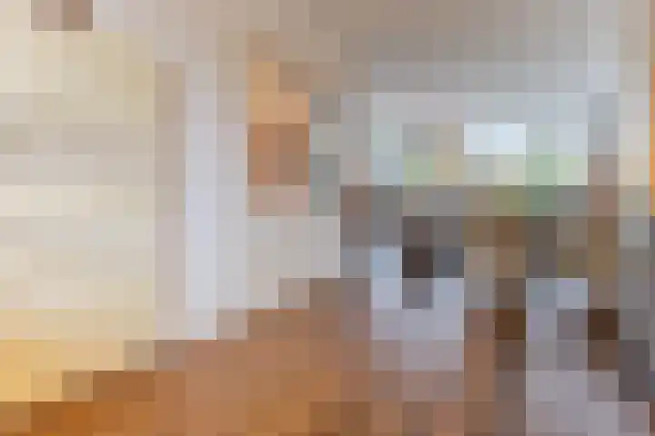 Rooseveltlaan 1 Delft thumbnail 14