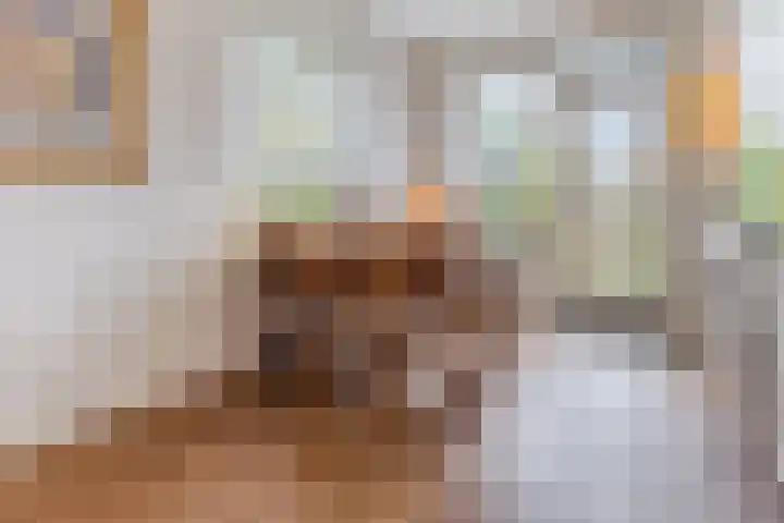 Rooseveltlaan 1 Delft thumbnail 15