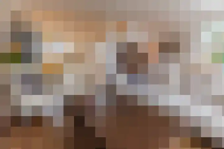Rooseveltlaan 1 Delft thumbnail 16