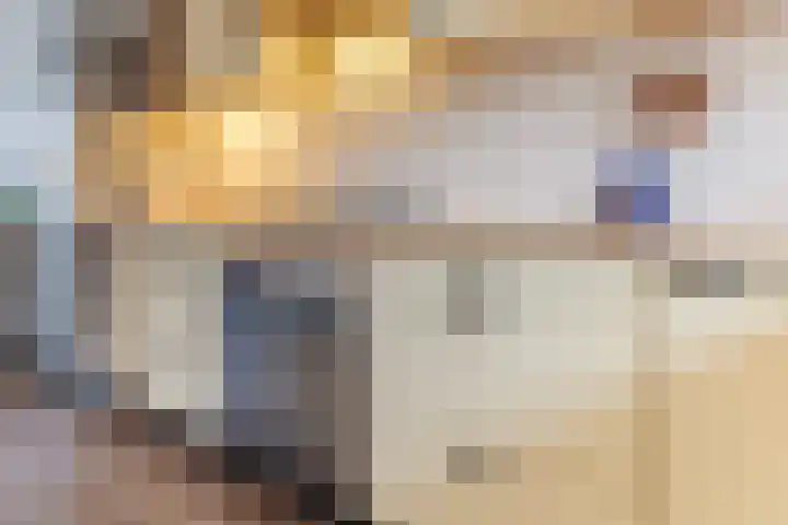 Rooseveltlaan 1 Delft thumbnail 18