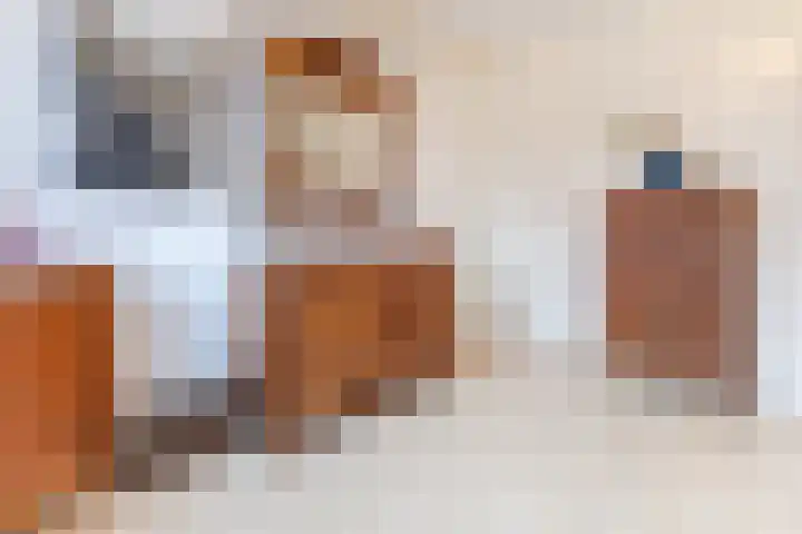 Rooseveltlaan 1 Delft thumbnail 25