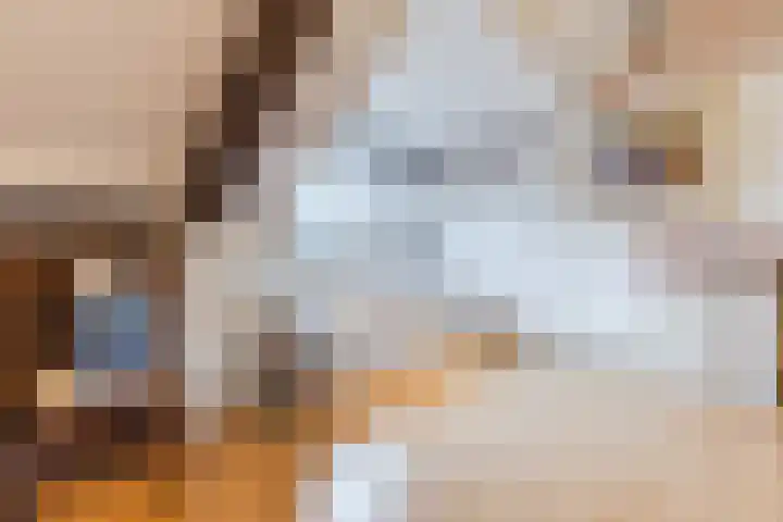 Rooseveltlaan 1 Delft thumbnail 31