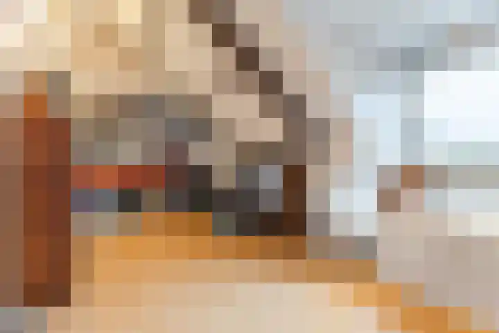 Rooseveltlaan 1 Delft thumbnail 33