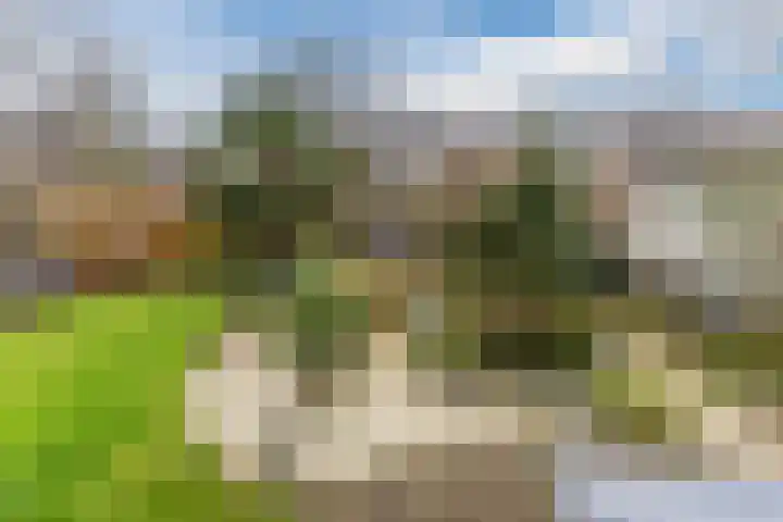 Rooseveltlaan 1 Delft thumbnail 36