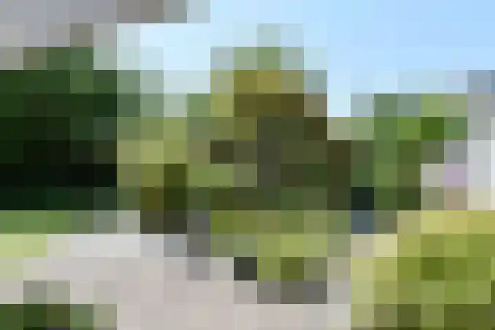 Rooseveltlaan 1 Delft thumbnail 37