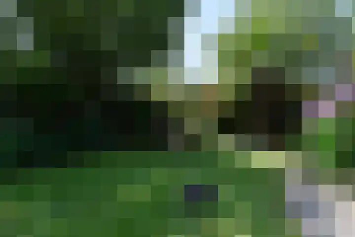 Rooseveltlaan 1 Delft thumbnail 38