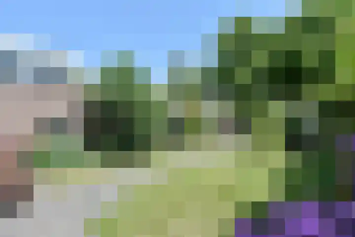 Rooseveltlaan 1 Delft thumbnail 40