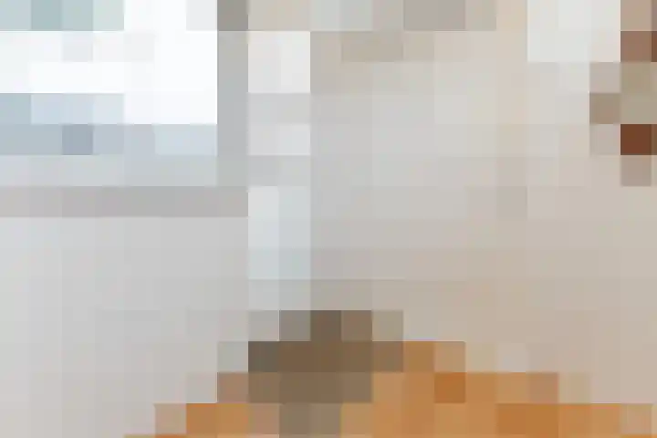 Rooseveltlaan 1 Delft thumbnail 8