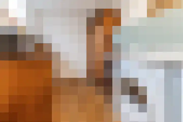 Rooseveltlaan 1 Delft thumbnail 9