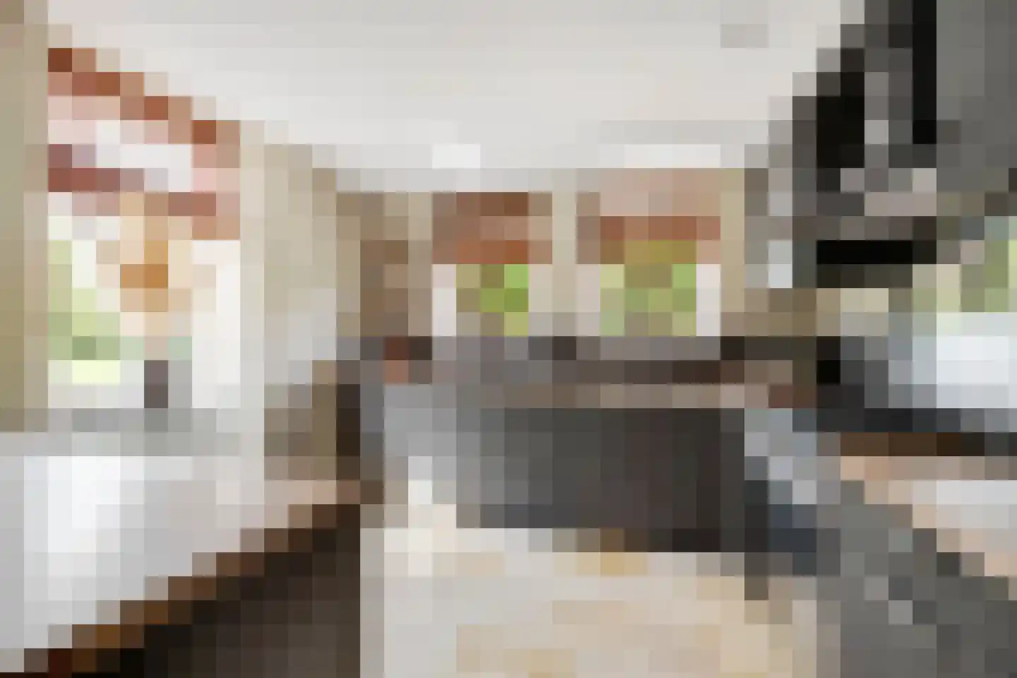 Rooseveltlaan 1 Hellevoetsluis thumbnail 17
