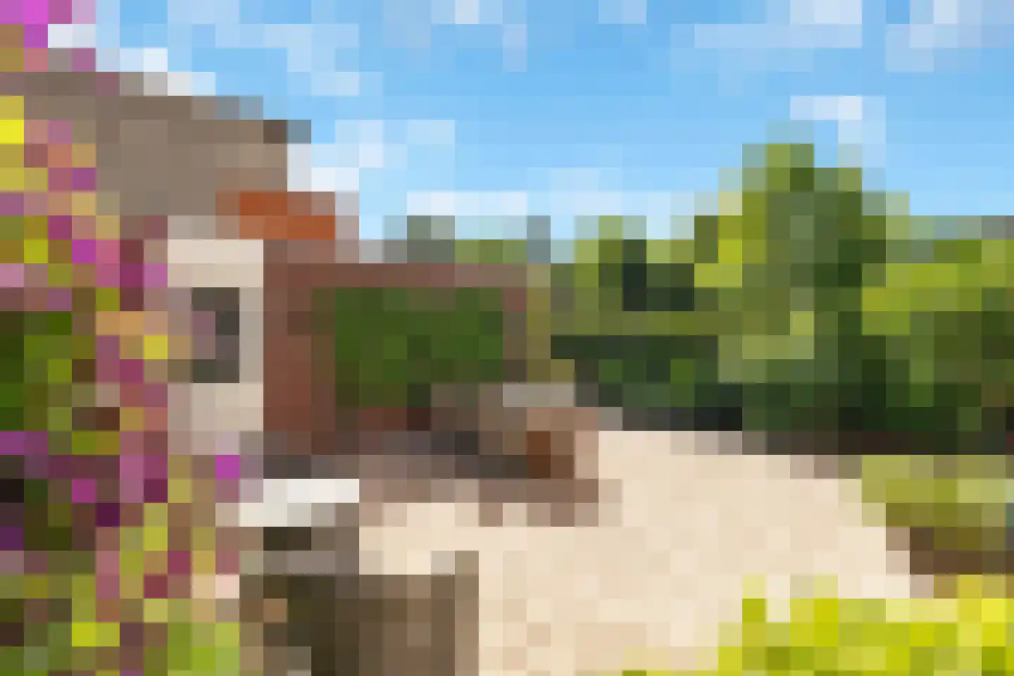Rooseveltlaan 1 Hellevoetsluis thumbnail 27