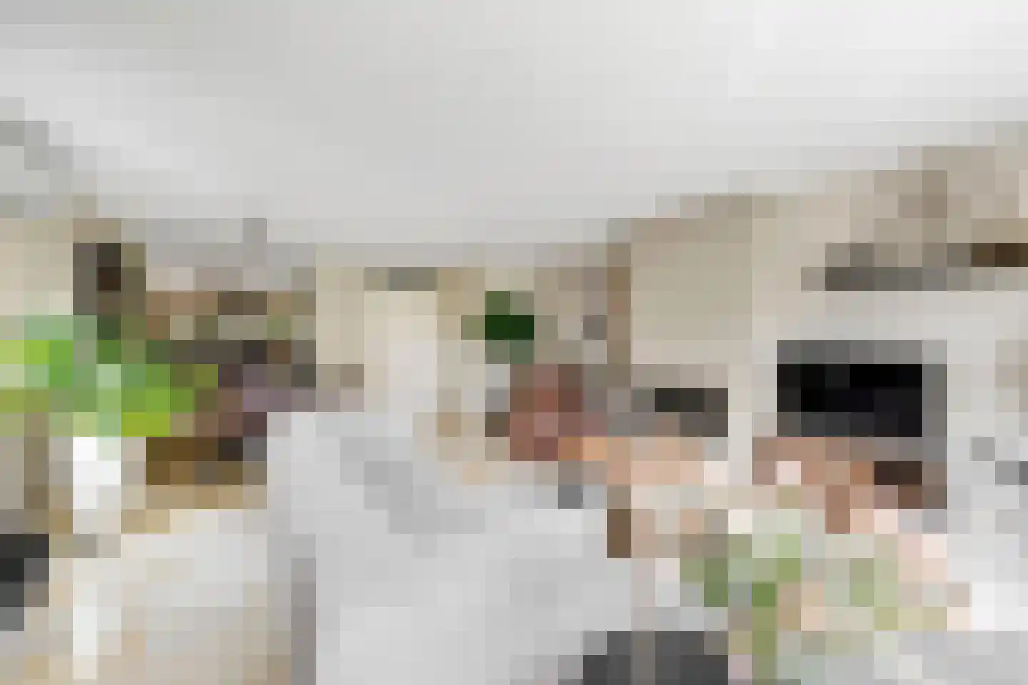 Rooseveltlaan 1 Hellevoetsluis thumbnail 5