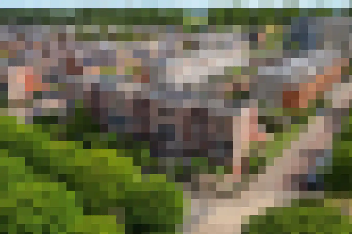 Rooseveltlaan 1 Hellevoetsluis thumbnail 7