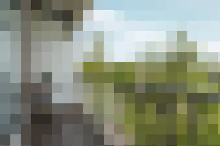 Rooseveltlaan 103 2 Amsterdam thumbnail 13