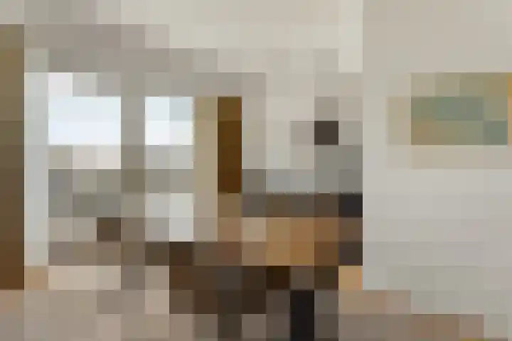 Rooseveltlaan 103 2 Amsterdam thumbnail 15