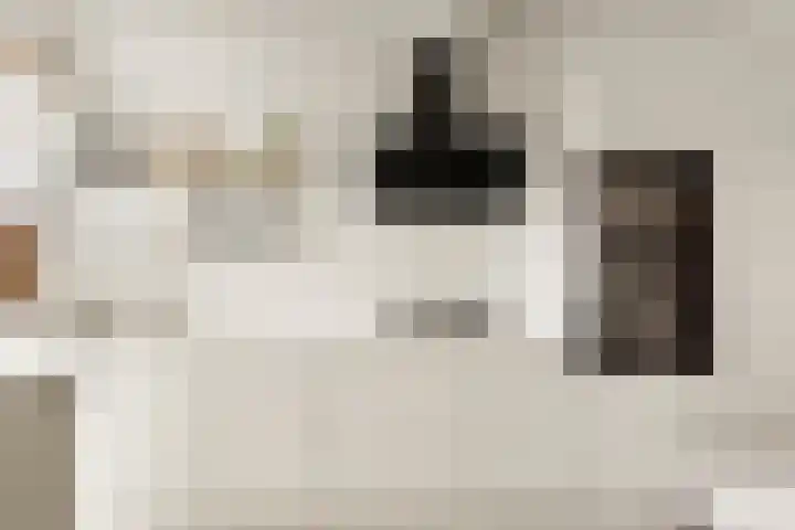 Rooseveltlaan 103 2 Amsterdam thumbnail 17
