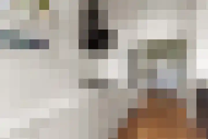 Rooseveltlaan 103 2 Amsterdam thumbnail 19