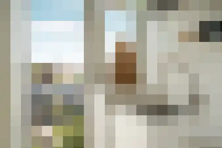 Rooseveltlaan 103 2 Amsterdam thumbnail 23