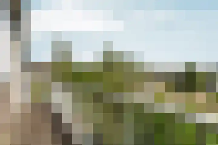 Rooseveltlaan 103 2 Amsterdam thumbnail 29