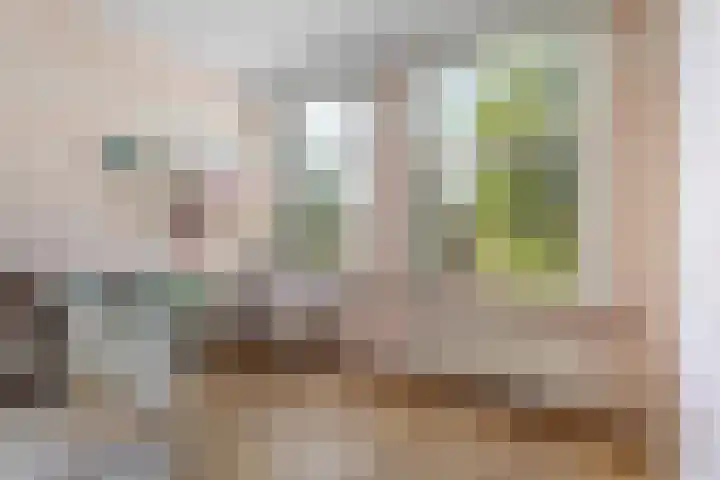 Rooseveltlaan 103 2 Amsterdam thumbnail 32