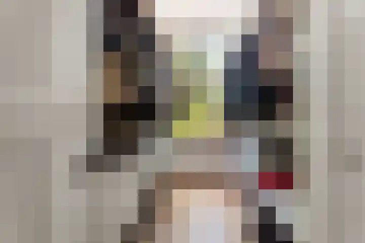 Rooseveltlaan 103 2 Amsterdam thumbnail 38