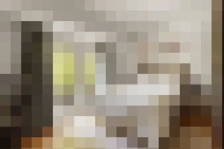 Rooseveltlaan 103 2 Amsterdam thumbnail 40