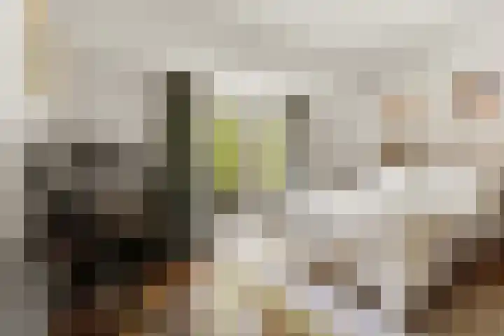 Rooseveltlaan 103 2 Amsterdam thumbnail 41