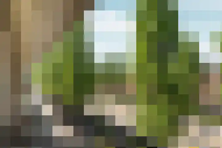 Rooseveltlaan 103 2 Amsterdam thumbnail 42