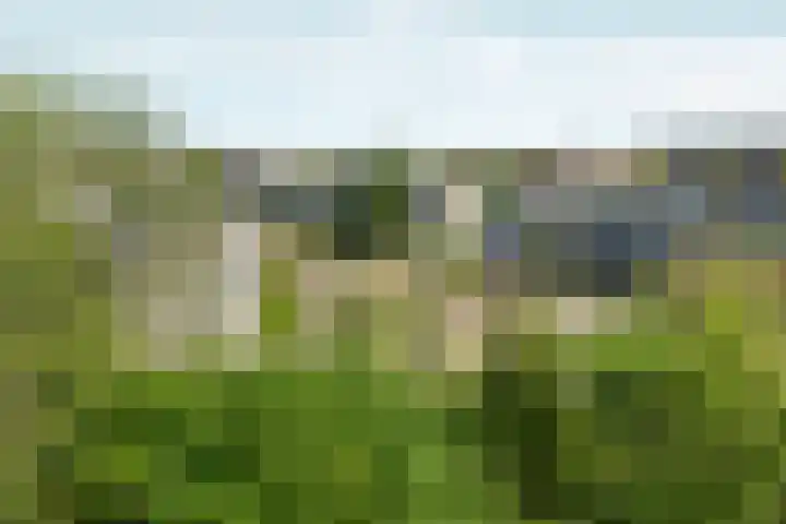 Rooseveltlaan 103 2 Amsterdam thumbnail 52