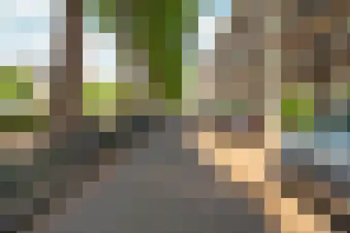 Rooseveltlaan 103 2 Amsterdam thumbnail 54