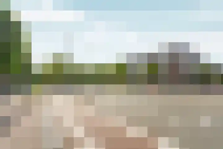 Rooseveltlaan 103 2 Amsterdam thumbnail 57