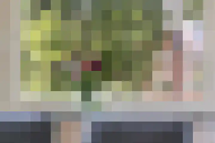 Rooseveltlaan 103 2 Amsterdam thumbnail 6