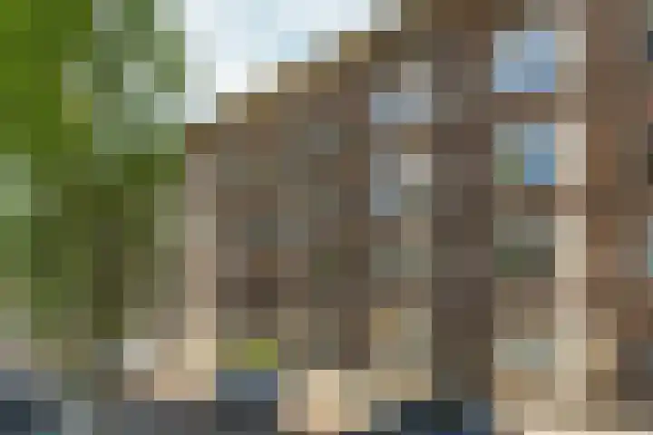 Rooseveltlaan 103 2 Amsterdam thumbnail 60