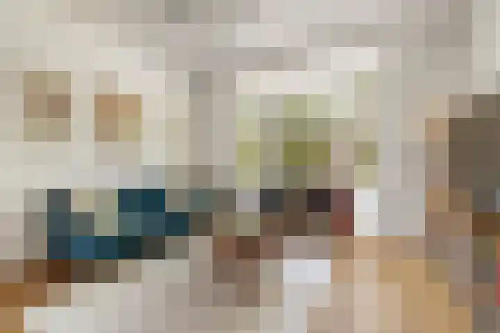 Rooseveltlaan 103 2 Amsterdam thumbnail 7