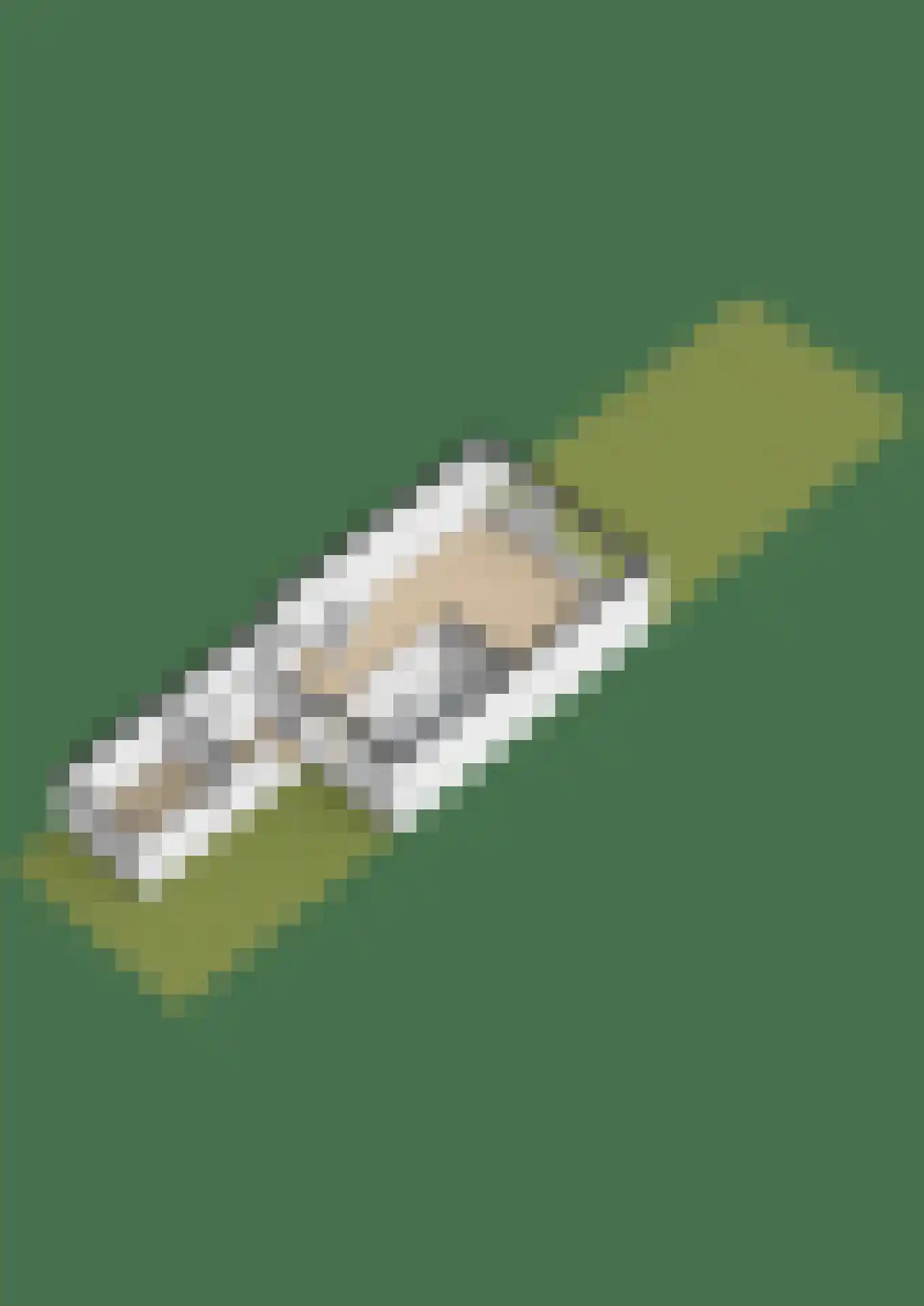 Rooseveltlaan 104 Delft thumbnail 24