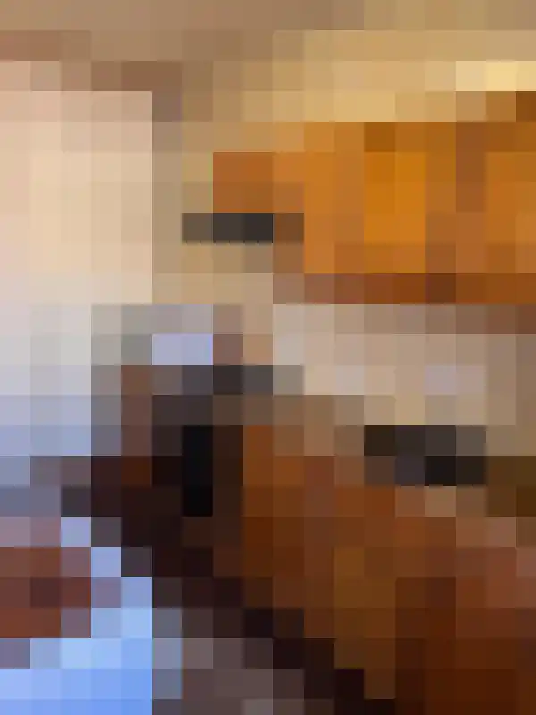 Rooseveltlaan 104 Delft thumbnail 4