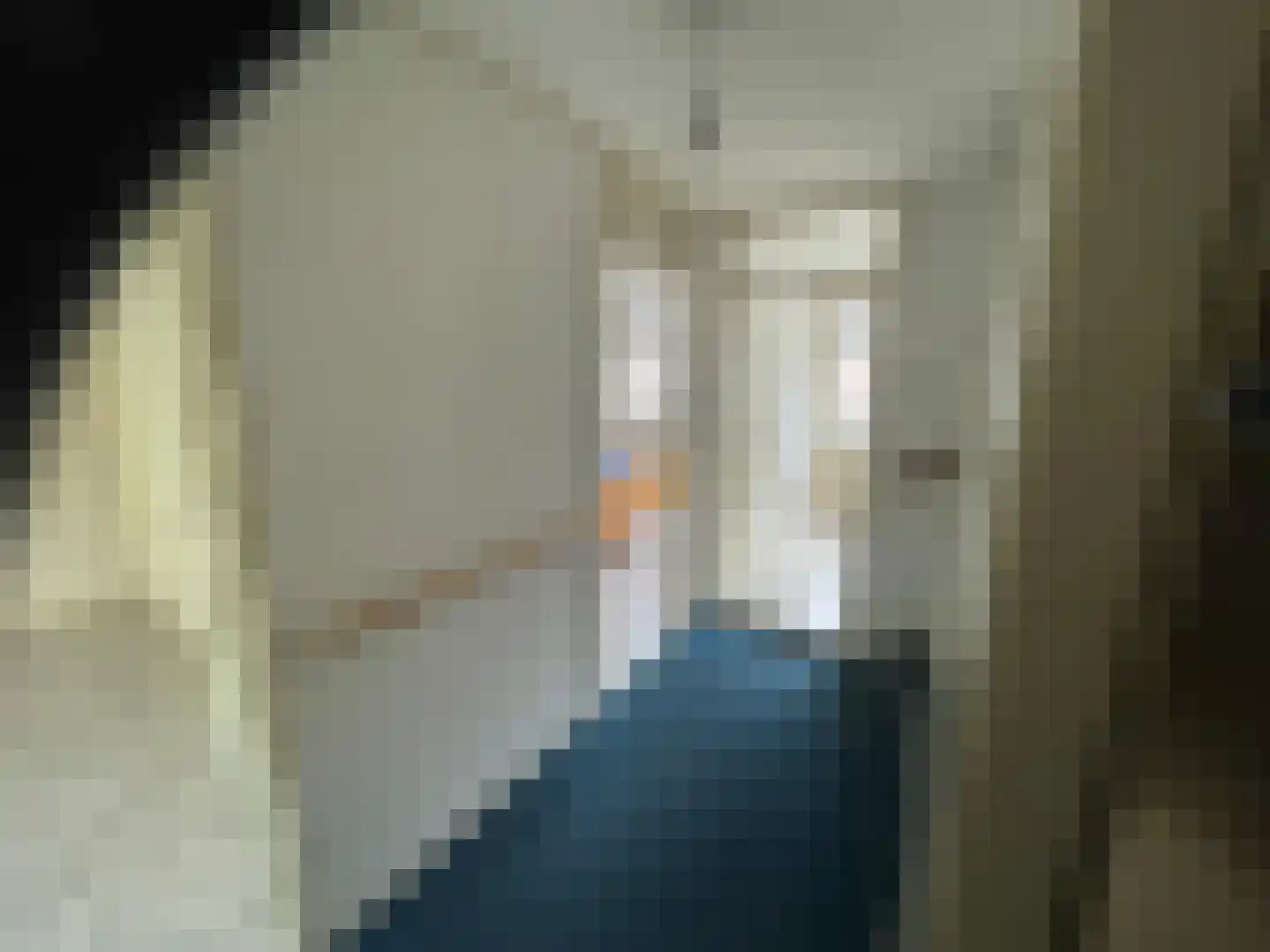 Rooseveltlaan 104 Delft thumbnail 9